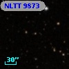 NLTT  9873