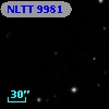 NLTT  9981