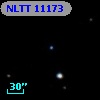 NLTT 11173