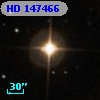 HD 147466