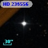 HD 238556
