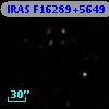 IRAS F16289+5649