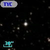 TYC 1313-517-1