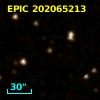 2MASS J06133105+1734003