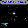 TYC 2421-1290-1