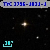 TYC 3786-1031-1