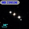 HD 238536