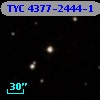 TYC 4377-2444-1