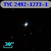 TYC 2492-1273-1