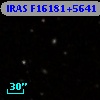 IRAS F16181+5641