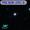 TYC  828-272-1