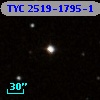 TYC 2519-1795-1