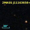2MASS J11163658+1821289