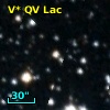 V* QV Lac