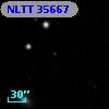 NLTT 35667