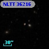 NLTT 36216