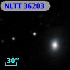 NLTT 36203