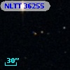 NLTT 36255