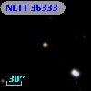 NLTT 36333