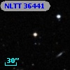 NLTT 36441