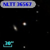 NLTT 36567