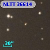 NLTT 36614