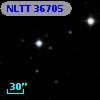 NLTT 36705