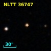 NLTT 36747