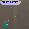NLTT 36752