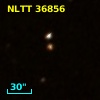 NLTT 36856