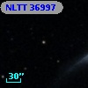 NLTT 36997