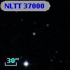 NLTT 37000