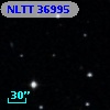 NLTT 36995