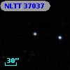 NLTT 37037