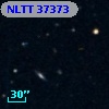 NLTT 37373