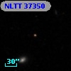 NLTT 37350
