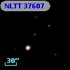 NLTT 37607