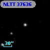 NLTT 37636