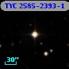 TYC 2585-2393-1