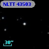 NLTT 43503