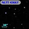 NLTT 43667