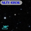 NLTT 43836