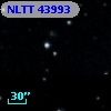 NLTT 43993
