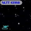 NLTT 43980
