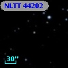 NLTT 44202