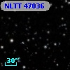 NLTT 47036