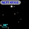 NLTT 47111
