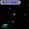 NLTT 47667