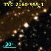 TYC 2160-955-1