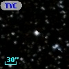 TYC 1085-1116-1